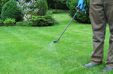 Lawn Treatments