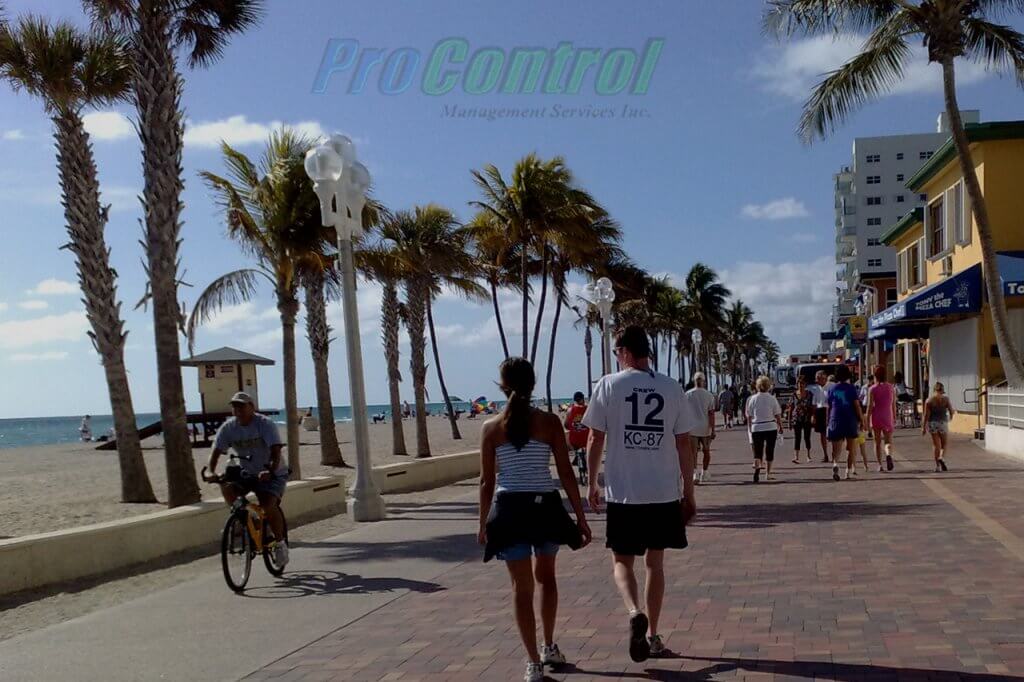 baywalk with palm trees in palm beach gardens