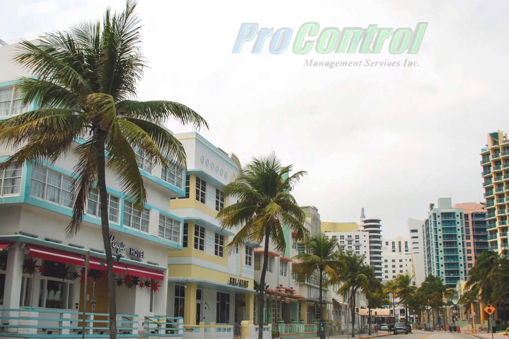 palm trees and a building