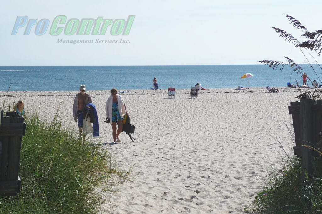 couple walking in the beach with people behind them enjoying the beach