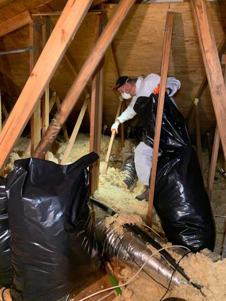 A person wearing protective gear, including a white suit, mask, and gloves, is cleaning an attic after a rodent control operation. They are holding a black trash bag and a tool, surrounded by wooden beams and insulation material. Large black trash bags are placed around the work area.