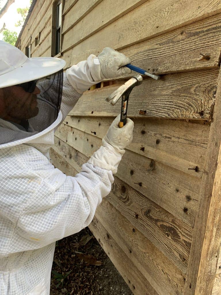 A person in protective beekeeping gear uses a hammer and crowbar to remove wooden boards from the side of a weathered building.