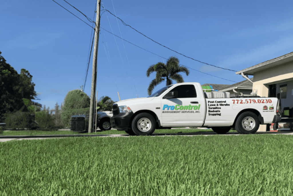 A white pickup truck labeled "ProControl Management Services, Inc." is parked on a driveway next to a house. The truck features contact information and pest control services including rodent control. The background includes green grass, a telephone pole, and palm trees under a clear blue sky.