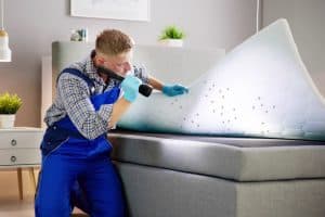 An exterminator in blue overalls kneels beside a bed, lifting the mattress corner with one hand and shining a flashlight with the other, revealing bed bugs. The room is modern, with grey tones, a nightstand, a lamp, and potted plants in the background—a testament to thorough pest control services beyond just termite control.