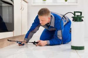 A pest control professional, wearing a blue and gray uniform, crouches on the floor of a kitchen while using a spraying device to treat the baseboards for termite control. A white and green canister is placed nearby. The kitchen features white tile flooring and a window in the background.