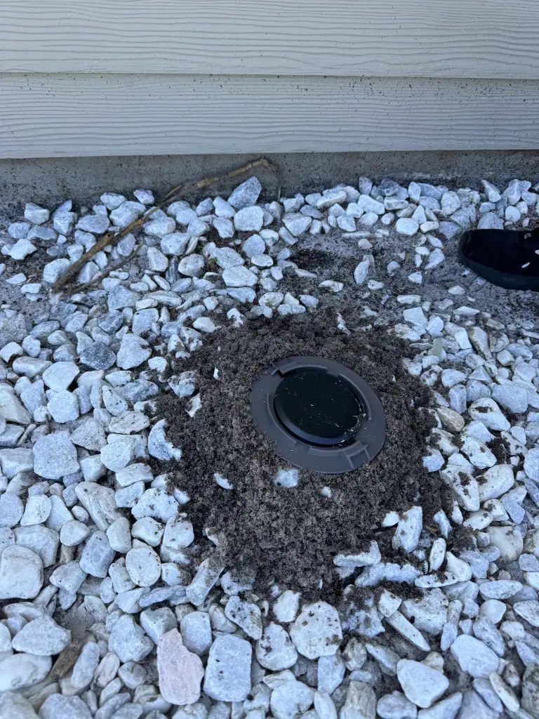 A round, dark-colored irrigation valve cover is surrounded by mulch and white rocks near the base of a beige-sided building in FL. A shoe and a stick are partially visible—common sights during pest control St Lucie inspections.