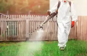 A person in a protective white suit, gloves, and mask sprays chemicals on grass with a backpack sprayer for pest control St Lucie, FL, in a grassy area near a wooden fence.