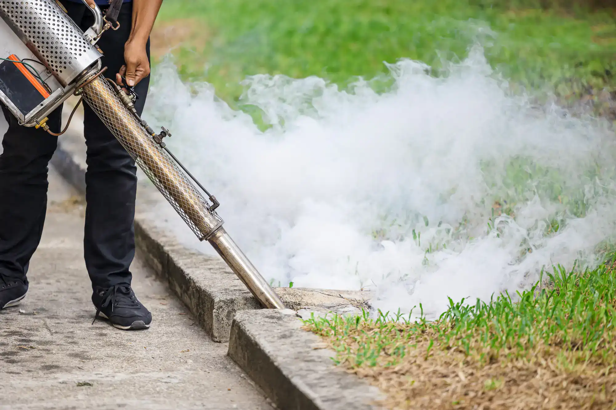 A person uses a fogging machine to release insecticide smoke along a curb, targeting grass and soil to control mosquito populations. Thick white smoke spreads over the ground near a sidewalk.