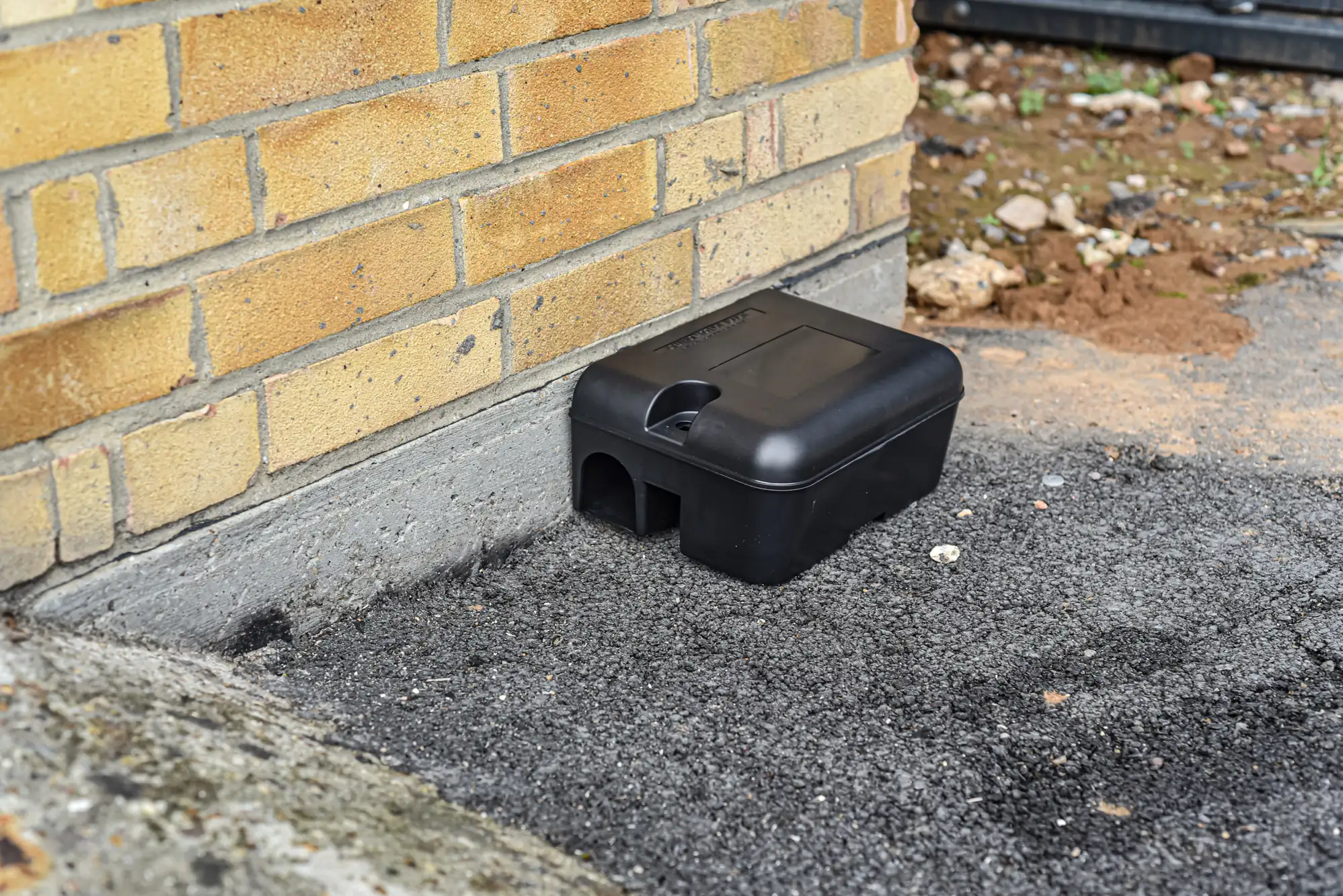A black plastic rodent bait station sits on asphalt against a yellow brick wall at the base of a building. There is some loose soil and debris nearby.