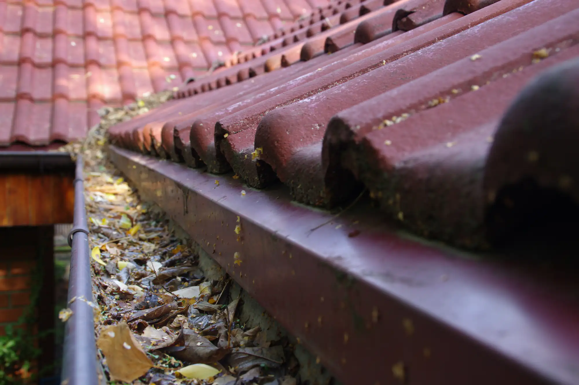Close-up of a house roof with red tiles and a gutter filled with dry leaves and debris, indicating the need for cleaning and maintenance.