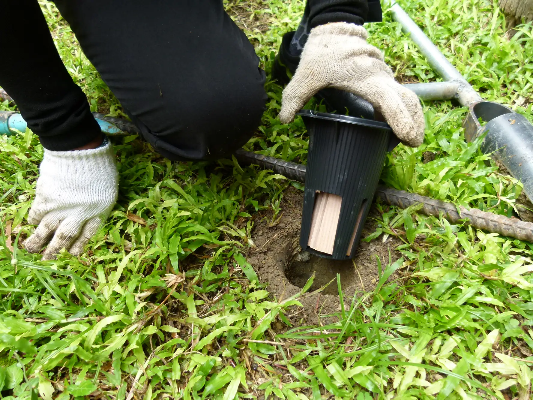 A person wearing white gloves places a black termite bait station into a hole in grassy ground, with tools and a metal rod nearby.