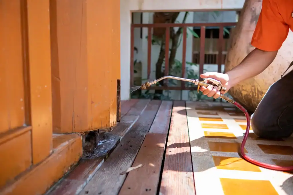 A person uses a spray nozzle to treat a wooden deck and base of a wall, likely for pest control or cleaning, with a hose connected to the nozzle. Only their hand and part of their body are visible.