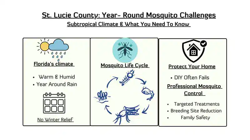 Infographic titled "St. Lucie County: Year-Round Mosquito Challenges" explains FL’s warm, humid climate, the mosquito life cycle, and home protection tips like breeding site reduction and pest control St Lucie treatments.