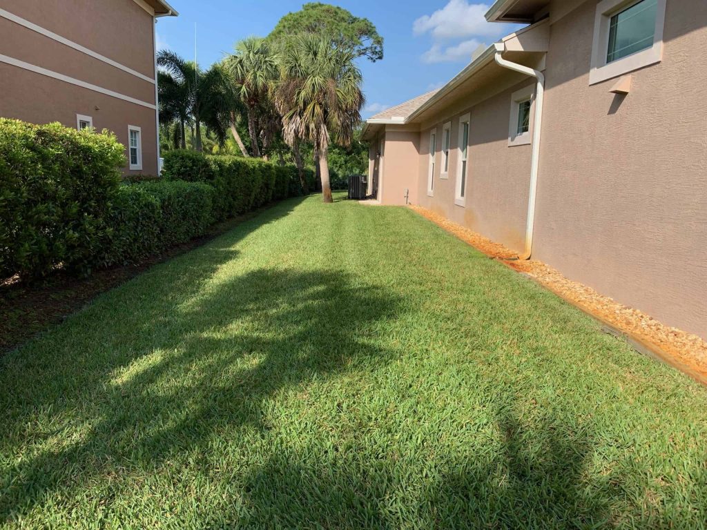 A well-maintained grassy yard runs between two beige houses in FL, bordered by bushes on one side and a line of rocks on the other, with a palm tree and blue sky in the background—a perfect setting for Pest Control in St. Lucie County.