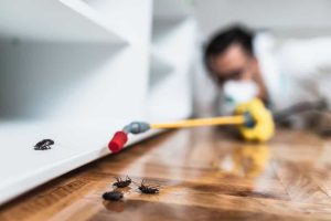 A person in protective gear sprays pesticide on a wooden floor, targeting several cockroaches near a white cabinet—a scene illustrating expert pest control in St. Lucie County, FL. The focus is on the insects, with the person blurred in the background.