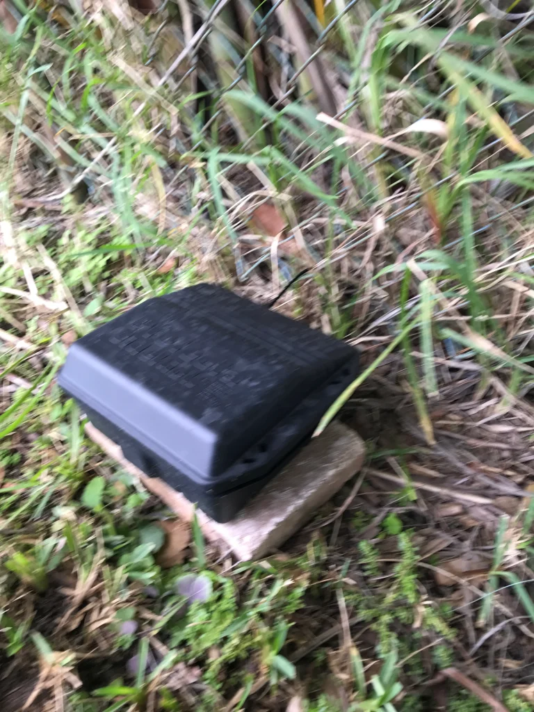 A black plastic utility box sits on a concrete slab amid overgrown grass and dense vegetation outdoors.
