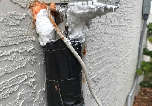 termite control